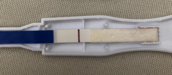 Bild zu Spinne ich? Oder kann dies doch sein? - Kinderwunschbehandlung