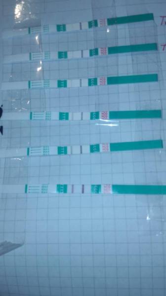 Bild zu Blutungen und trotzdem bt positiv - Kinderwunschbehandlung