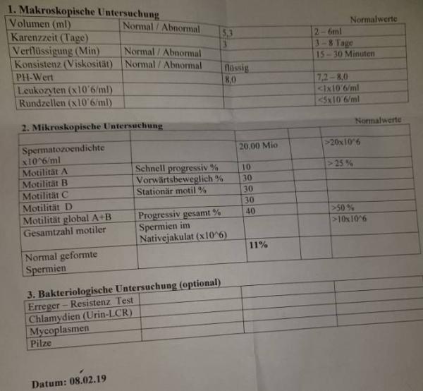 Bild zu Wie ist mein spermiogramm? - Kinderwunschbehandlung