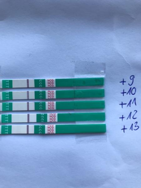 Bild zu Test nach punktion +13 - Kinderwunschbehandlung