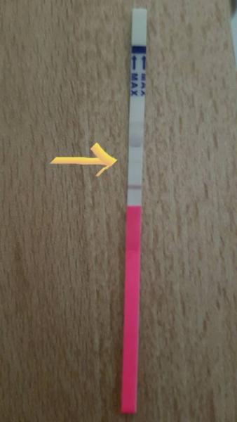 Bild zu Ab wann kann ich testen? - Kinderwunschbehandlung