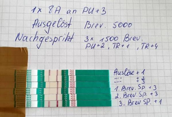 Bild zu Testreihe trotz nachspritzen - Kinderwunschbehandlung