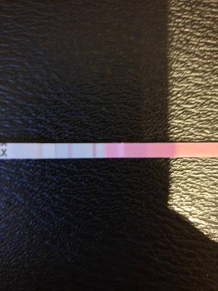 Bild zu Eisprung? - Kinderwunschbehandlung