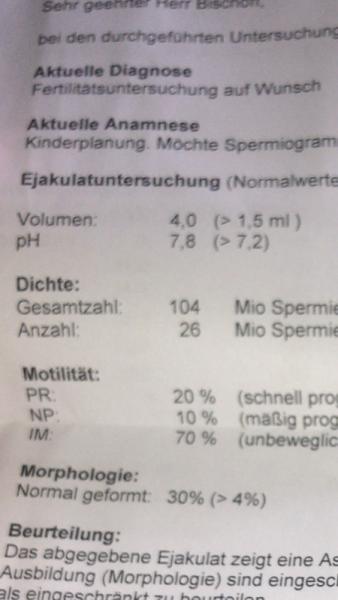 Bild zu Astheno - Teratozoospermie - Kinderwunschbehandlung