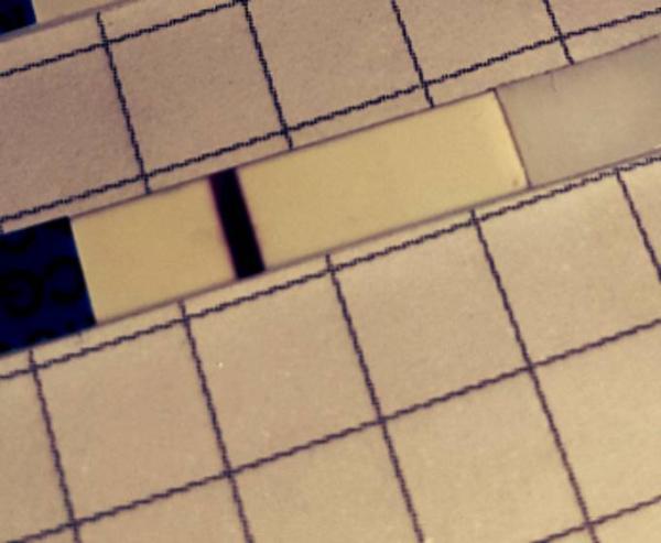 Bild zu PU+10 T+7 nach 3 Stunden ein hauch positiv - Kinderwunschbehandlung