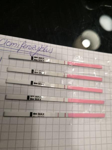 Bild zu ES früher durch Progesteron im Vorzyklus? - Kinderwunschbehandlung