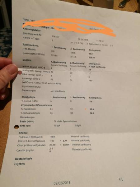 Bild zu Hat jemand Ahnung bzgl. Spermiogramm? - Kinderwunschbehandlung