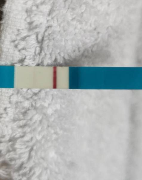 Bild zu Ss test bitte nochmal an die otriville Erfahrenen - Kinderwunschbehandlung