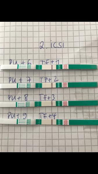 Bild zu Stechen/ziehen nur recht seite+sst was meint ihr? - Kinderwunschbehandlung