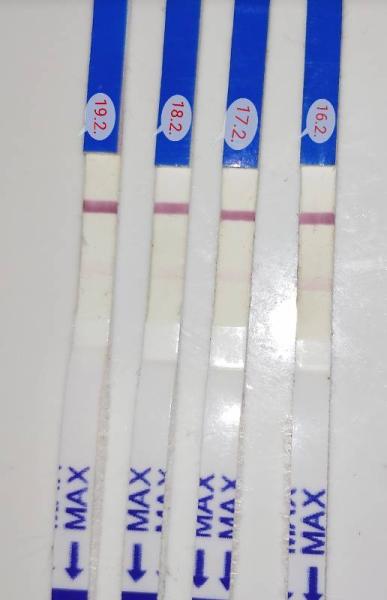 Bild zu Clomifen - Kinderwunschbehandlung