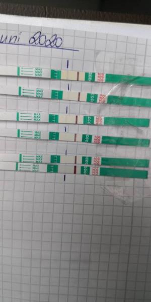 Bild zu Traurig und genervt - Kinderwunschbehandlung