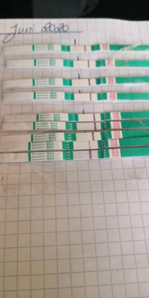 Bild zu 1 icsi 😍 - Kinderwunschbehandlung