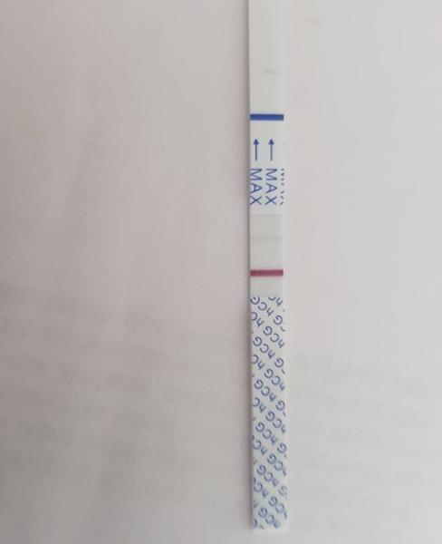 Bild zu Ovitrelle 3600 I E - Kinderwunschbehandlung