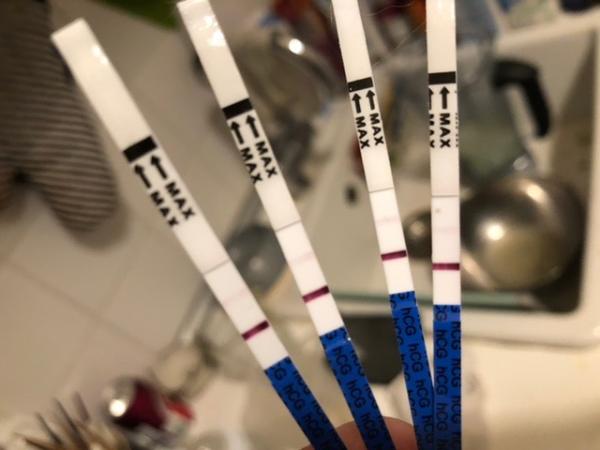 Bild zu Kyro Transfer +7 - Kinderwunschbehandlung