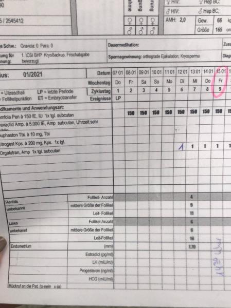 Bild zu 1.ICSI, 1 Ultraschalluntersuchung - Kinderwunschbehandlung