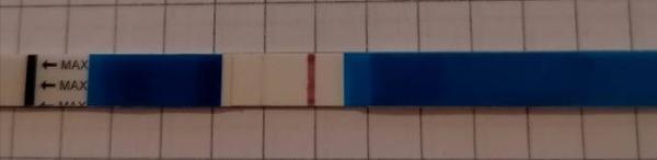 Bild zu Transfer+10 - Kinderwunschbehandlung