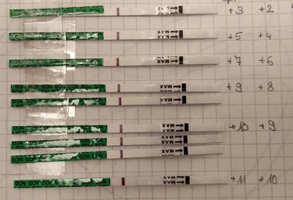 Bild zu Kryo SST ab Es+8 abends wieder stärker? - Kinderwunschbehandlung