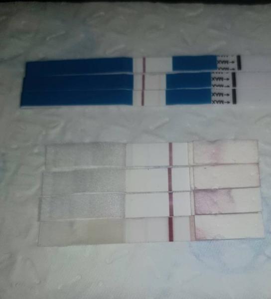 Bild zu Pu+12 Tr+ 7 - Kinderwunschbehandlung