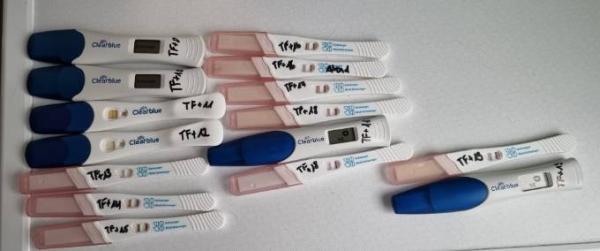 Bild zu Tests - Kinderwunschbehandlung