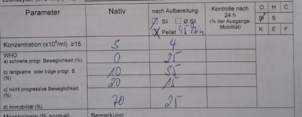 Bild zu War die IUI überhaupt sinnvoll? - Kinderwunschbehandlung