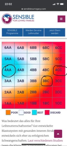 Bild zu Qualität der Blastos/ lieber SET oder DET im Kryotransfer - Kinderwunschbehandlung