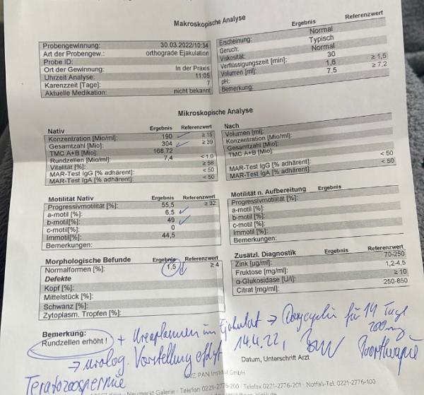 Bild zu Spermiogramm - Kinderwunschbehandlung