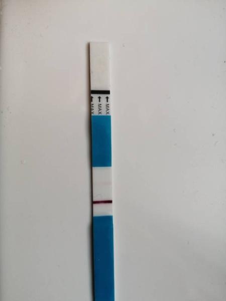 Bild zu Ovitrelle plus 11 - Test positiv - Kinderwunschbehandlung