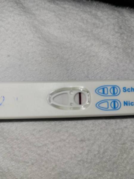 Bild zu Hat der test 2 Striche, positiv oder negativ? - Kinderwunschbehandlung