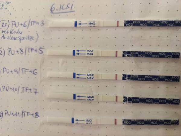 Bild zu Wer hat schon getestet? - Kinderwunschbehandlung
