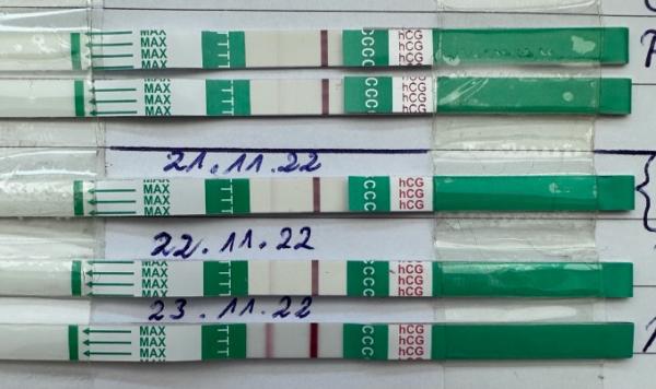 Bild zu Testreihe Gonasi 0,4ml - Kinderwunschbehandlung