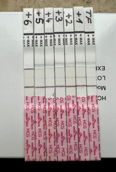 Bild zu Embryotransfer Tag + 6 negativ, noch Hoffnung? - Kinderwunschbehandlung
