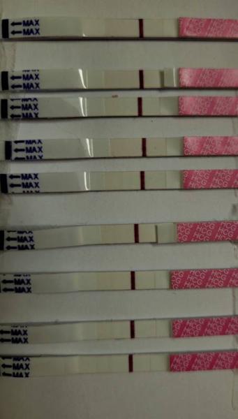 Bild zu Babytest nach Ablesezeit VL oder positiv? - Kinderwunschbehandlung