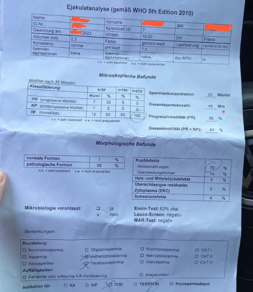 Bild zu Kinderwunsch ICSI - Kinderwunschbehandlung