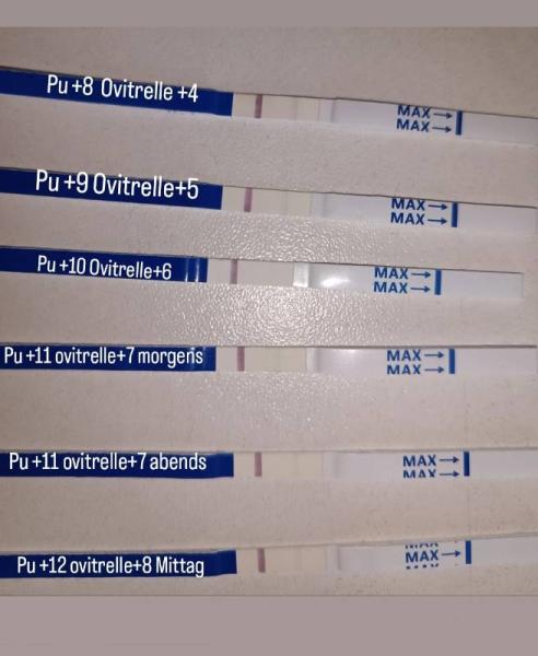 Bild zu Testreihe nach Ivf bitte um vergleiche - Kinderwunschbehandlung