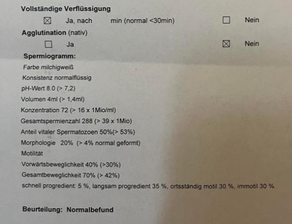Bild zu Mein Spermiogramm ist es gut? - Kinderwunschbehandlung