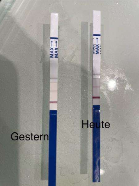 Bild zu Ist der Test positiv ? - Kinderwunschbehandlung