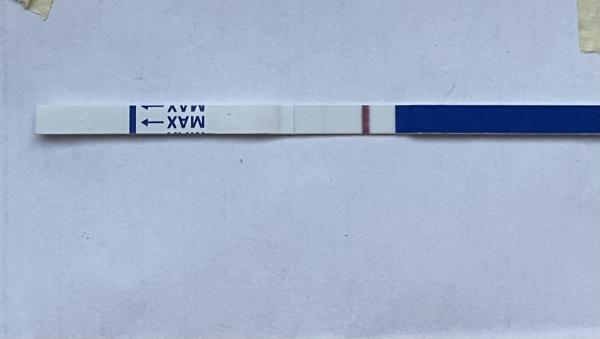 Bild zu TF+8 Test nach Blastozyste - Kinderwunschbehandlung