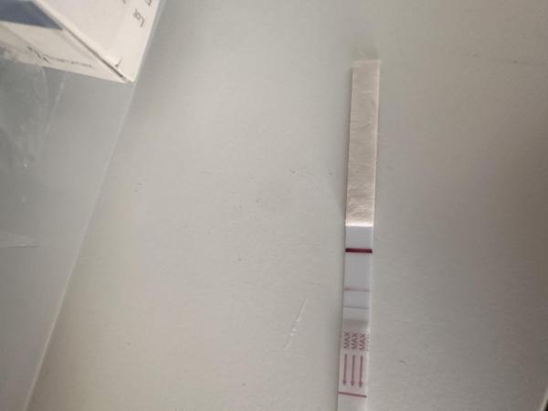 Bild zu TF+10 Schmierblutung Test immer noch positiv - Kinderwunschbehandlung