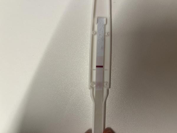 Bild zu 4.te ICSI TF+3- hauchzarte linie? Oder bin ich verrückt! - Kinderwunschbehandlung