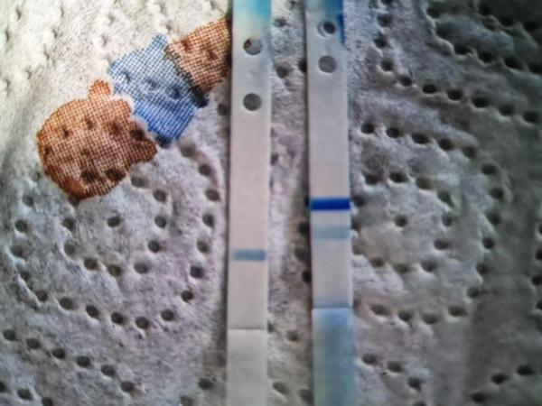 Bild zu Augebauter Clearblue - Kinderwunschbehandlung