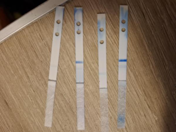 Bild zu Clear Blue auseinander gebaut - weiter testen? - Kinderwunschbehandlung