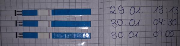 Bild zu TF+5 Kryo - Kinderwunschbehandlung