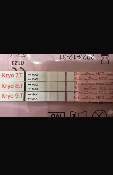 Bild zu Kryo 9.Tag Test ? - Kinderwunschbehandlung