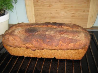 Bild zu wollte euch mal mein letztes Brot zeigen ;) - Kochen und Backen
