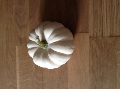 Bild zu Gefüllter Kürbis - Kochen und Backen