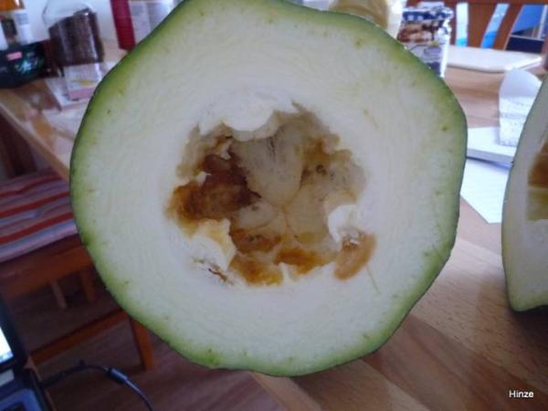 Bild zu Zucchini frage - Kochen und Backen