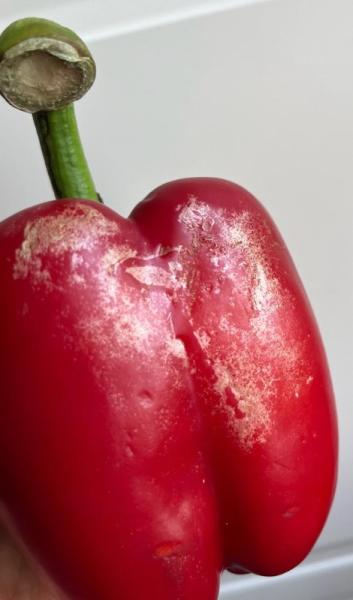Bild zu Paprika glitzernde goldene Stellen - Kochen und Backen