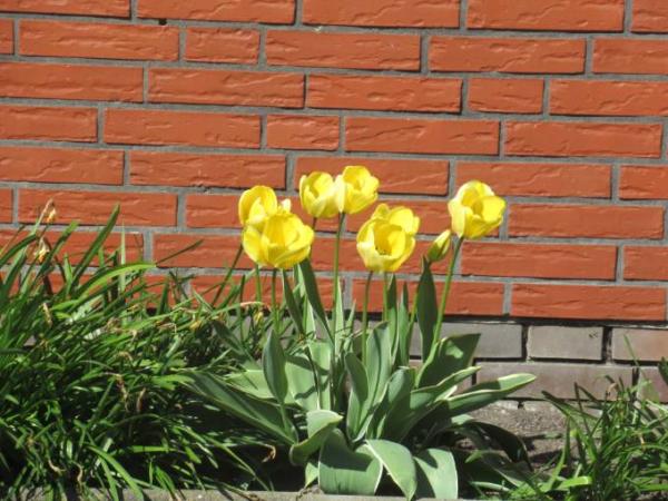 Bild zu 