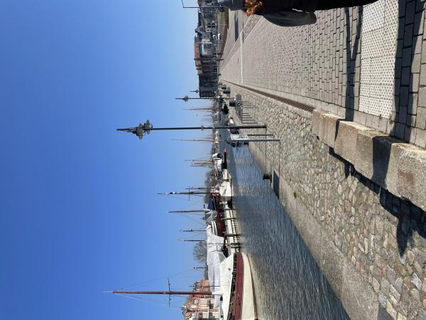 Bild zu 