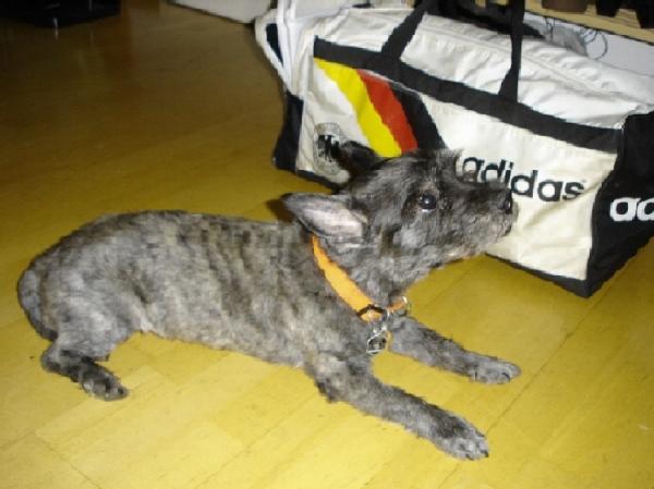 Bild zu